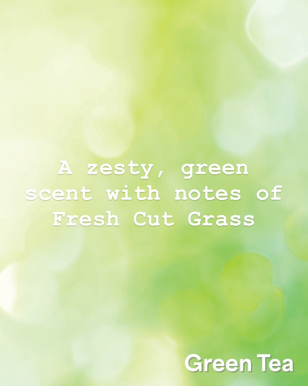 Logo Air Freshener (Green Tea)